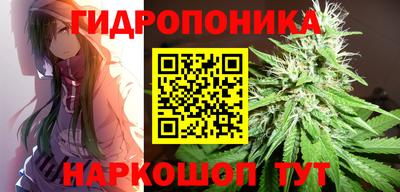 индика Балашиха