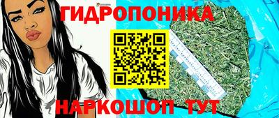 ГАЛЛЮЦИНОГЕННЫЕ ГРИБЫ Балахна