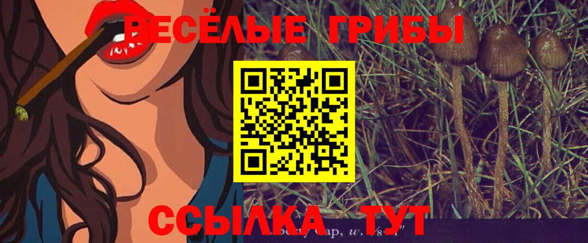 Донецк  Псилоцибиновые грибы GOLDEN TEACHER  Галлюциногенные грибы прущие грибы  Вход с VPN 