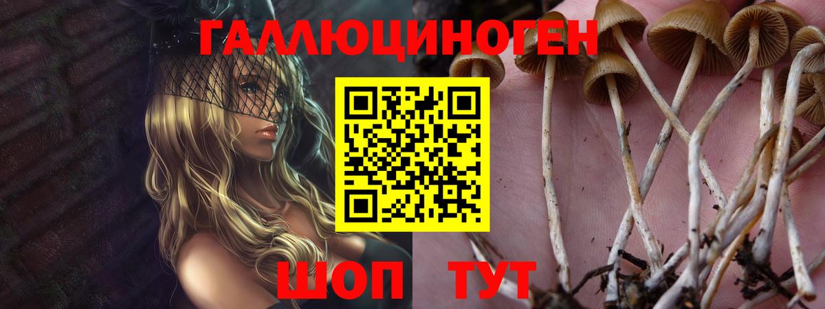 Галлюциногенные грибы прущие грибы Донецк